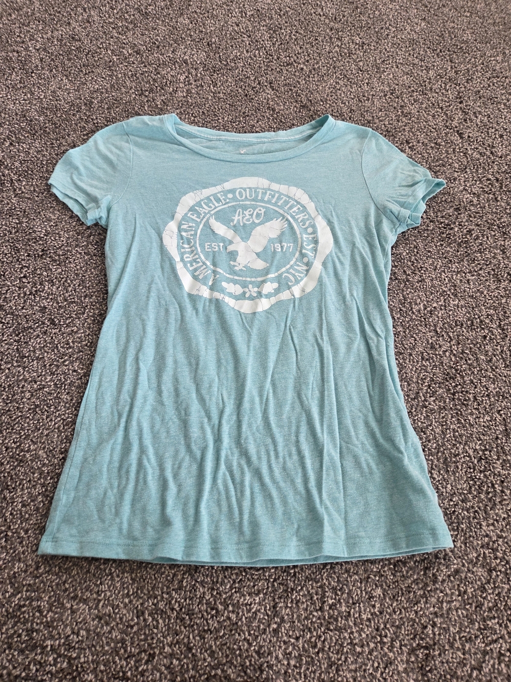 American Eagle Outfitters Teal Graphic Short Sleeve Tee